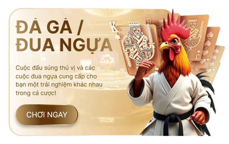 bn da ga dua ngua tc df999-tech