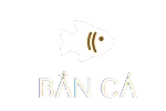 Hình trái 2