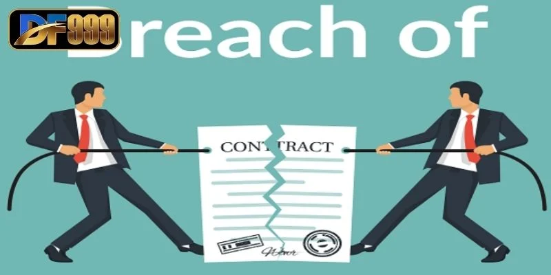 Miễn Trừ Trách Nhiệm - Bảo Vệ Quyền Lợi Pháp Lý Của Bạn 2 Những trường hợp mà hệ thống không chịu trách nhiệm