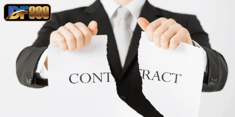 Miễn Trừ Trách Nhiệm - Bảo Vệ Quyền Lợi Pháp Lý Của Bạn 3 Trách nhiệm của hội viên khi tham gia cá cược tại DF999